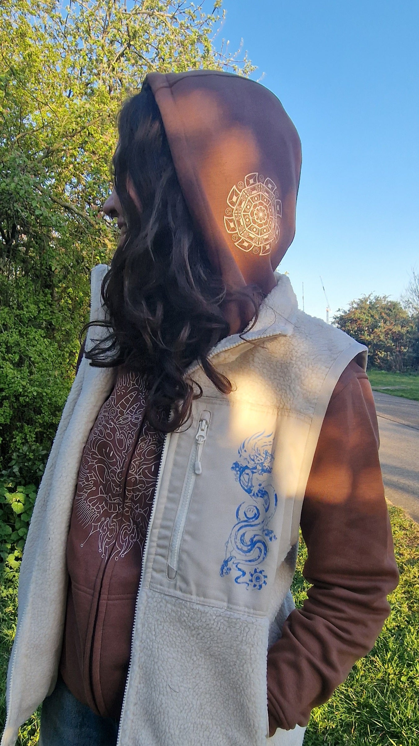 Bass Dragon 3 Print Zip Hoody Bruin